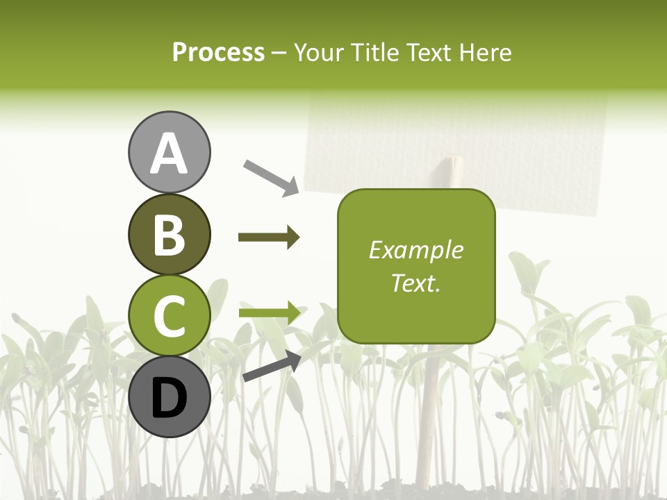 Seed Food Sign PowerPoint Template