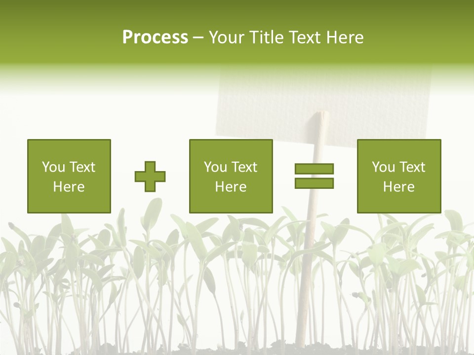 Seed Food Sign PowerPoint Template