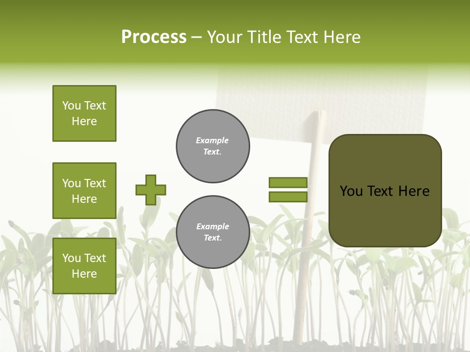 Seed Food Sign PowerPoint Template