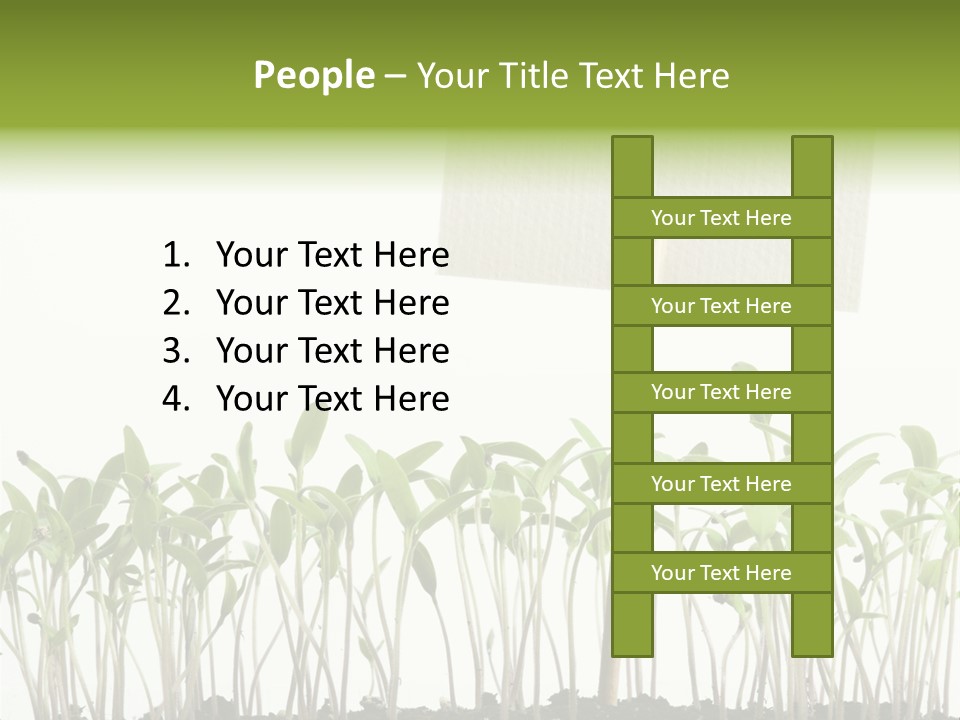 Seed Food Sign PowerPoint Template