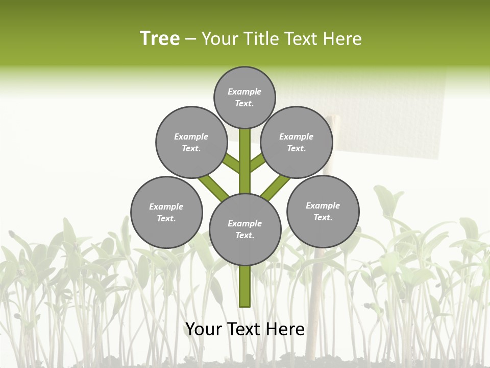 Seed Food Sign PowerPoint Template