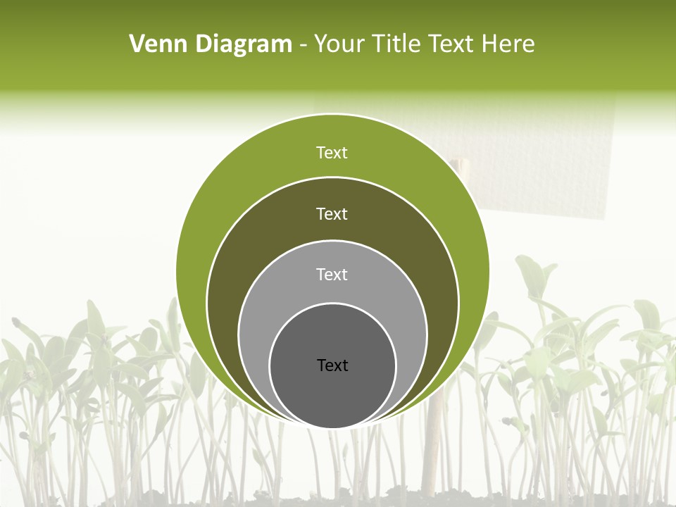 Seed Food Sign PowerPoint Template