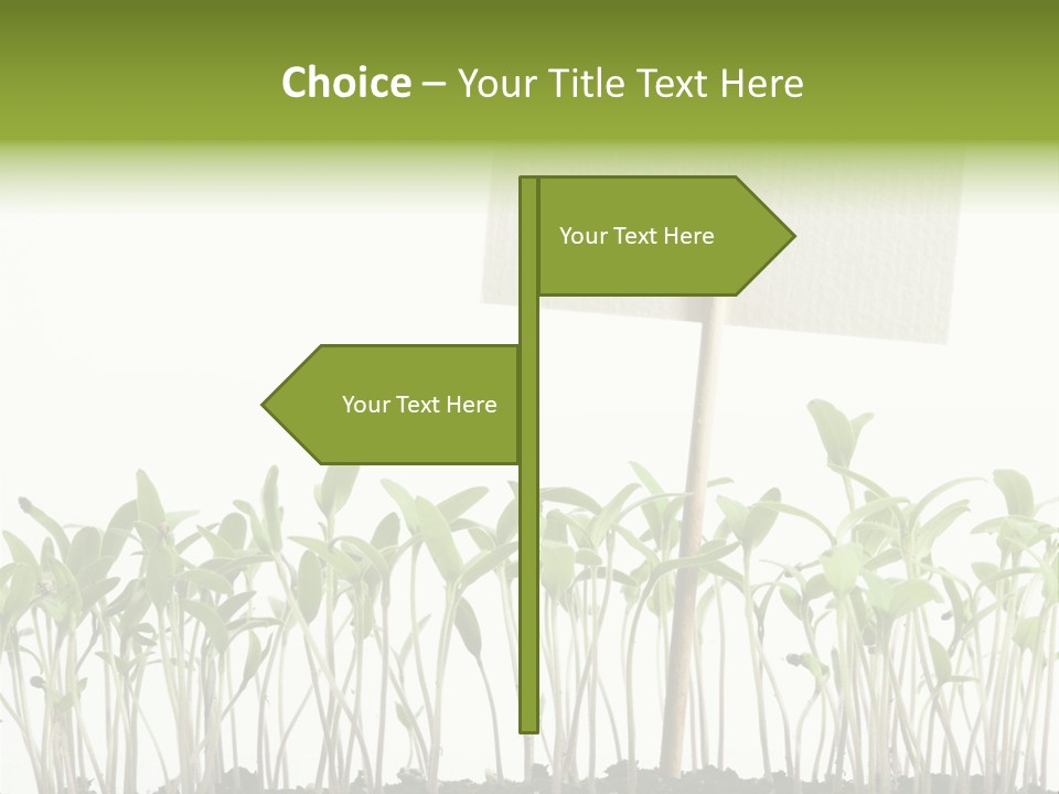 Seed Food Sign PowerPoint Template