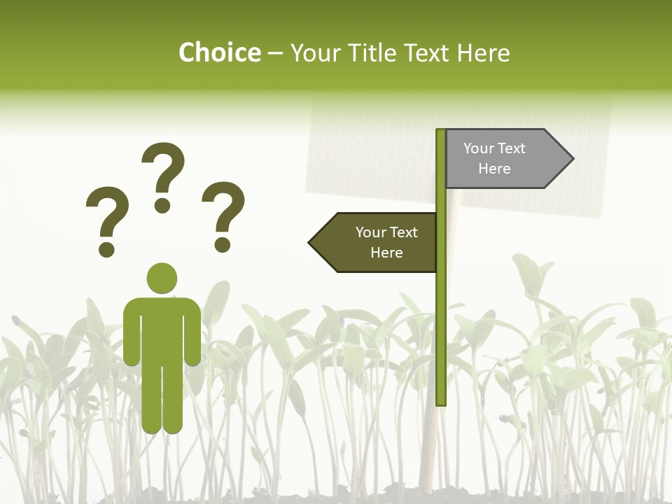 Seed Food Sign PowerPoint Template