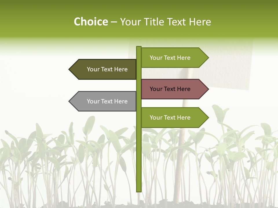 Seed Food Sign PowerPoint Template