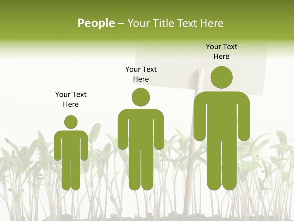 Seed Food Sign PowerPoint Template