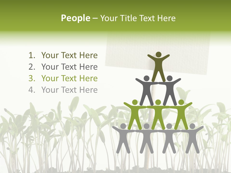 Seed Food Sign PowerPoint Template