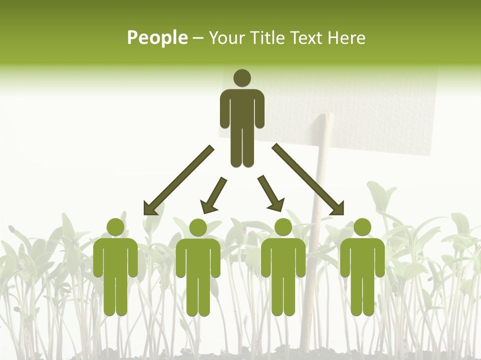Seed Food Sign PowerPoint Template