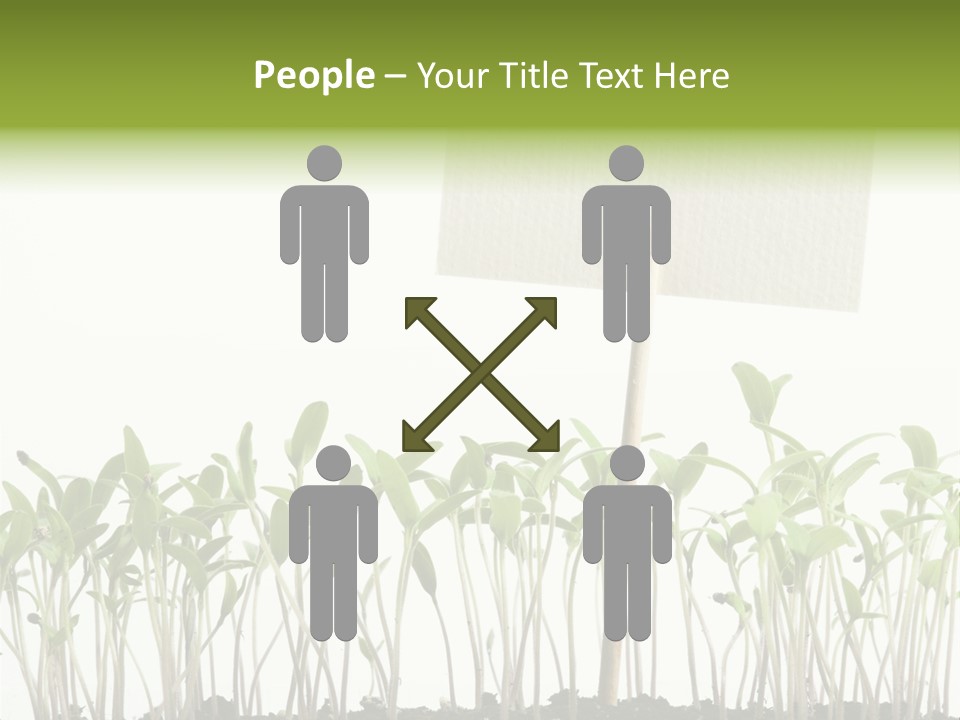 Seed Food Sign PowerPoint Template