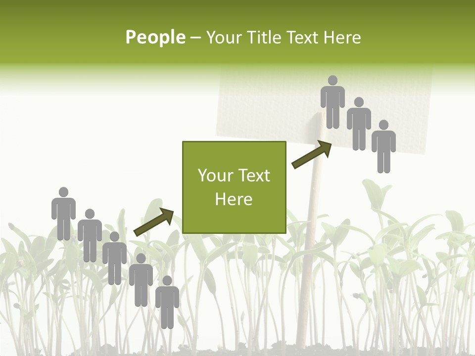 Seed Food Sign PowerPoint Template