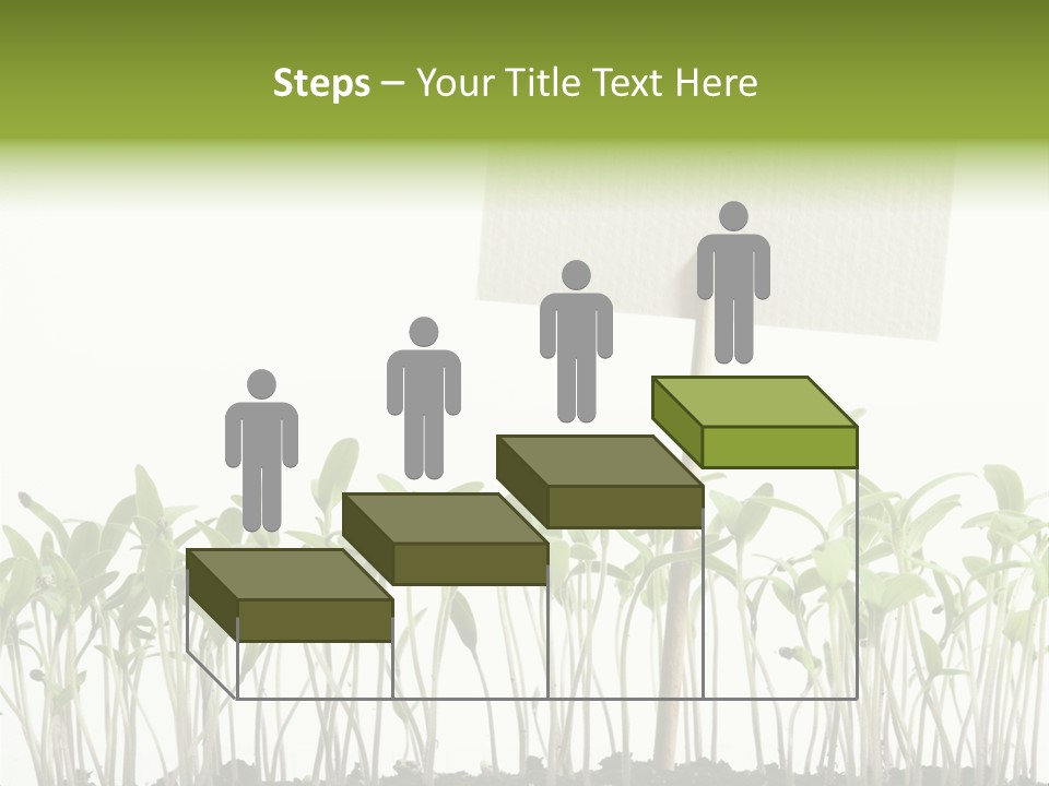 Seed Food Sign PowerPoint Template