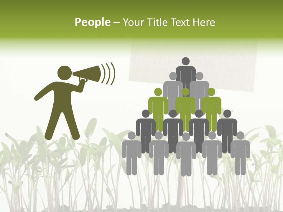 Seed Food Sign PowerPoint Template