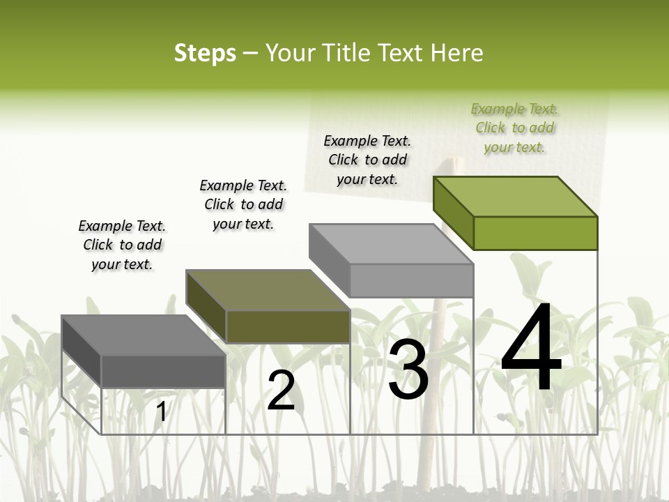 Seed Food Sign PowerPoint Template