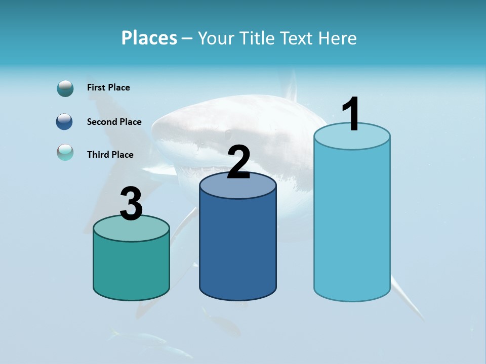 Marine Carcharodon Undersea PowerPoint Template