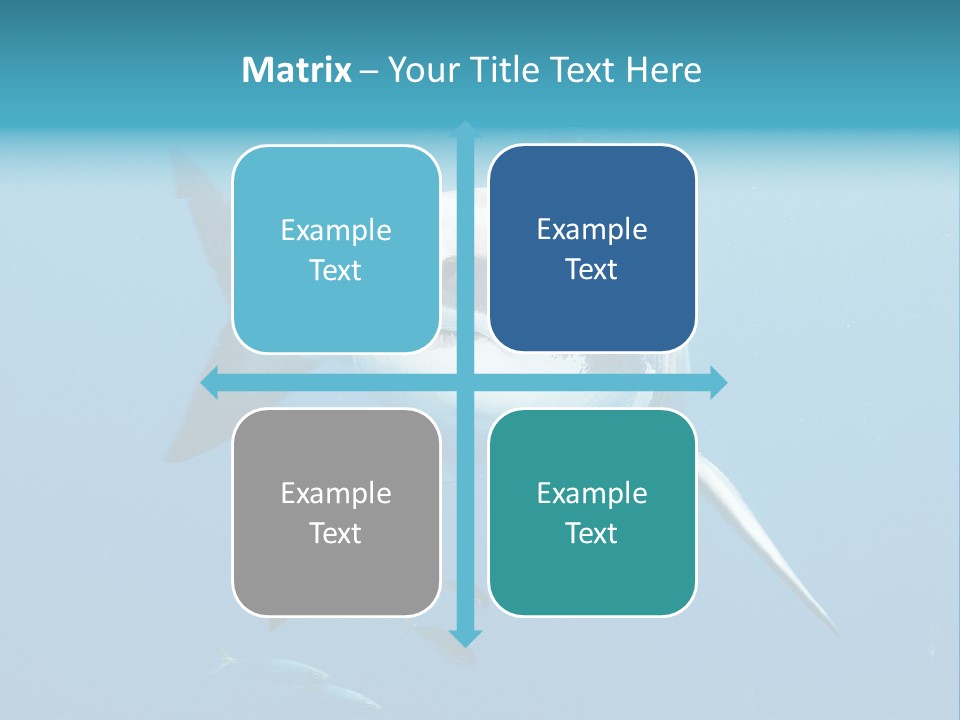 Marine Carcharodon Undersea PowerPoint Template