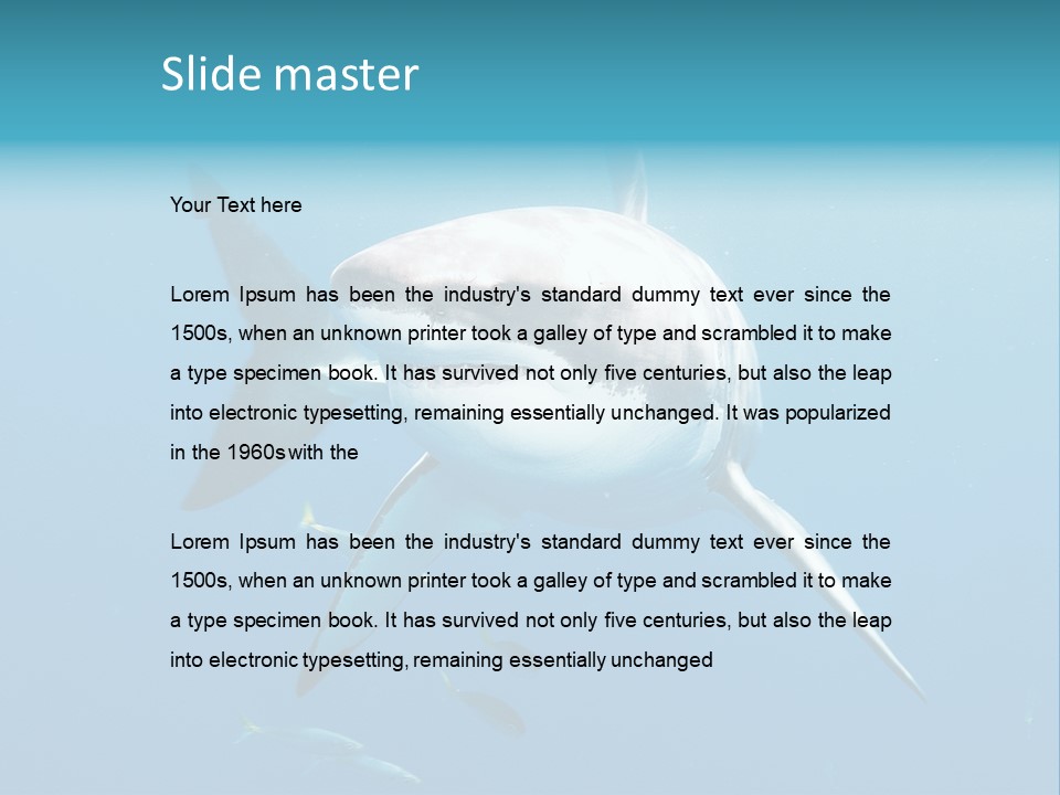 Marine Carcharodon Undersea PowerPoint Template