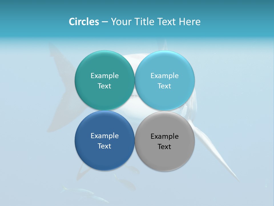 Marine Carcharodon Undersea PowerPoint Template