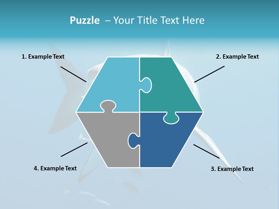 Marine Carcharodon Undersea PowerPoint Template