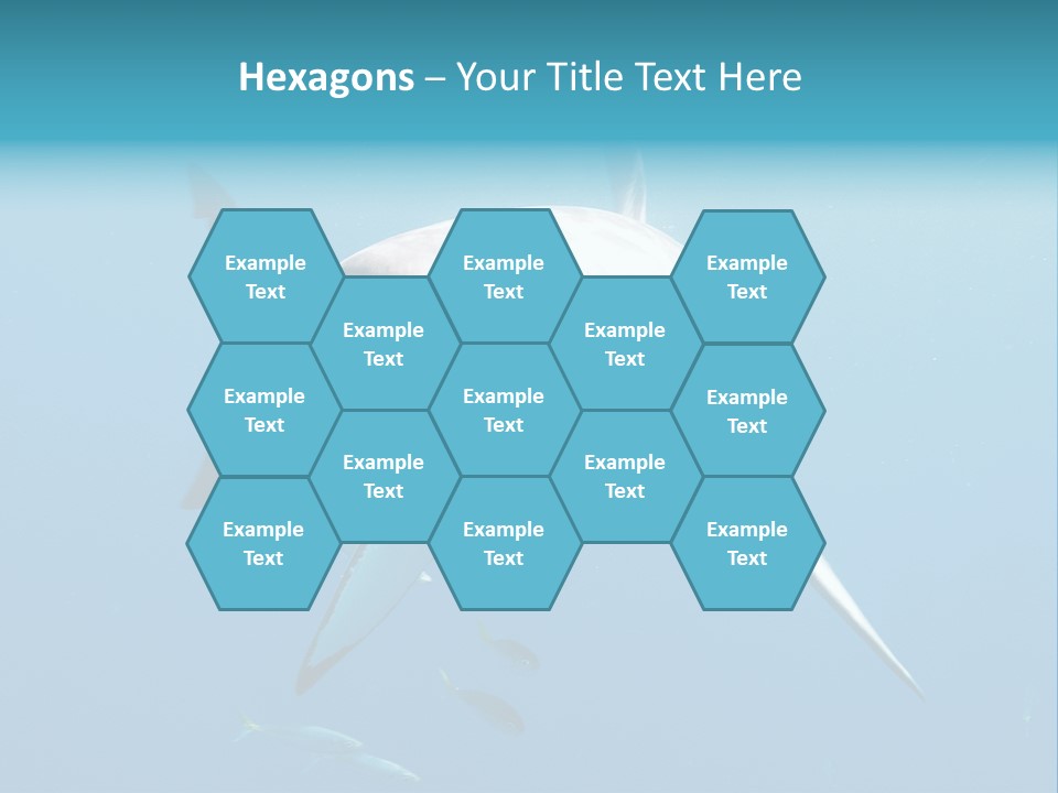 Marine Carcharodon Undersea PowerPoint Template