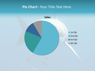 Marine Carcharodon Undersea PowerPoint Template