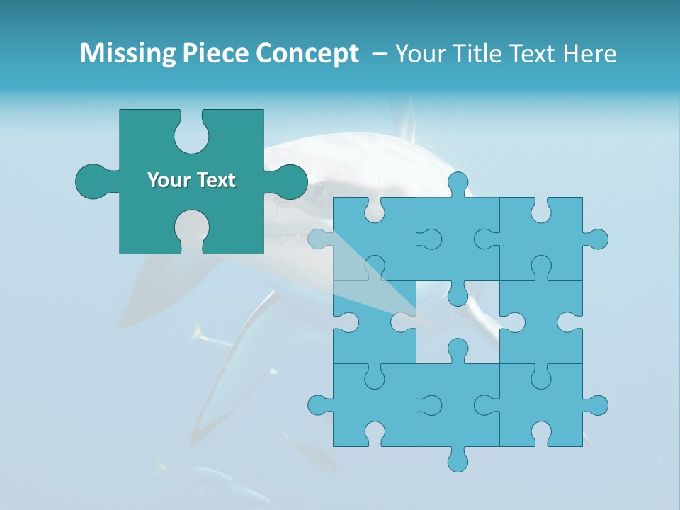 Marine Carcharodon Undersea PowerPoint Template