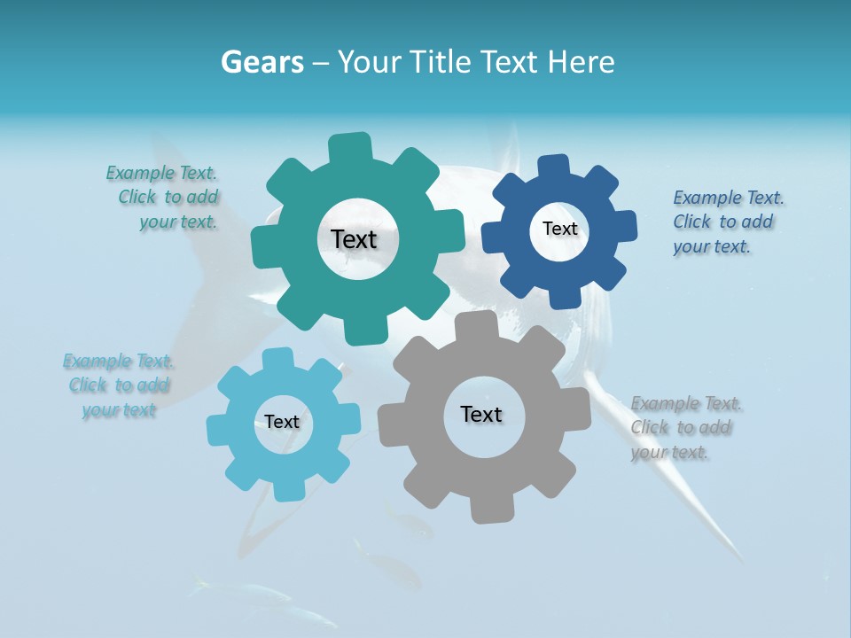 Marine Carcharodon Undersea PowerPoint Template