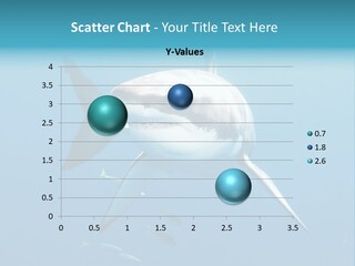 Marine Carcharodon Undersea PowerPoint Template