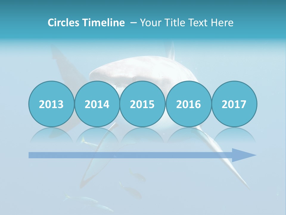 Marine Carcharodon Undersea PowerPoint Template