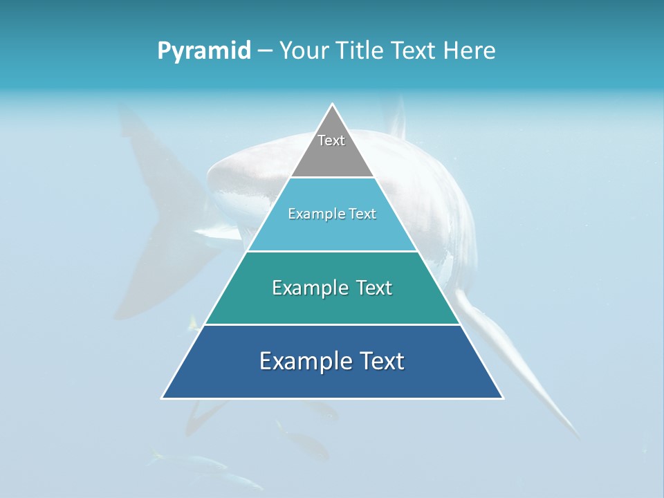 Marine Carcharodon Undersea PowerPoint Template