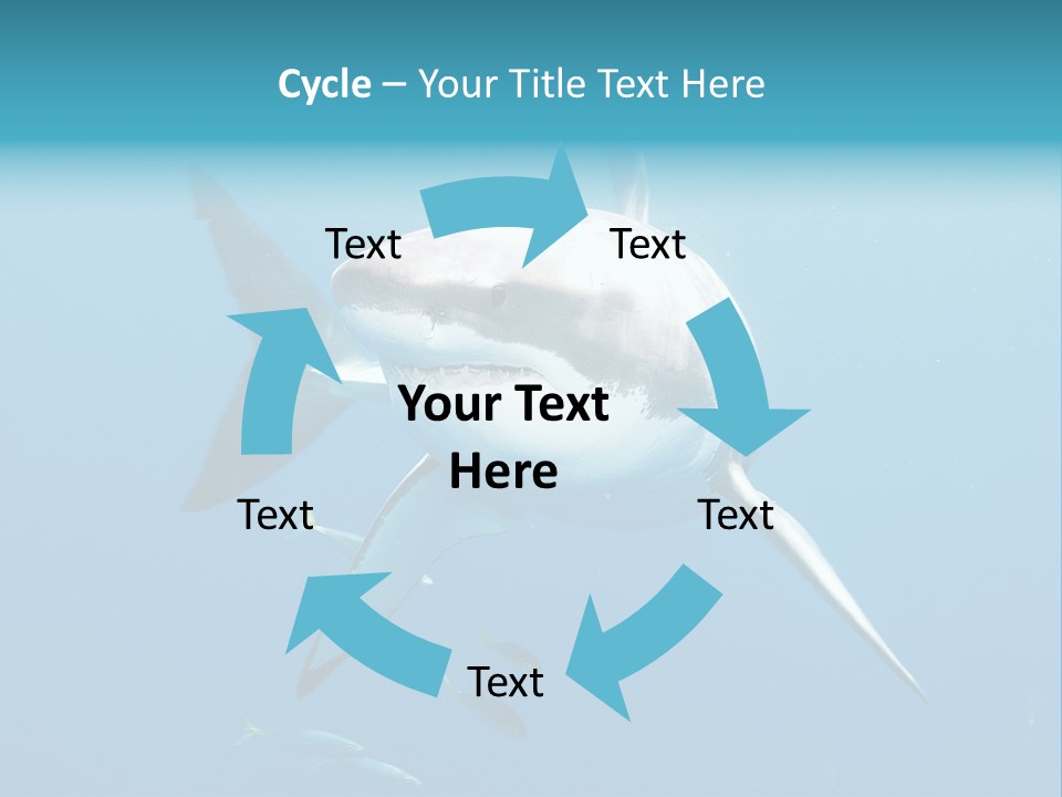 Marine Carcharodon Undersea PowerPoint Template