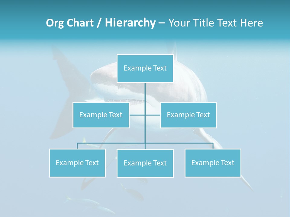 Marine Carcharodon Undersea PowerPoint Template