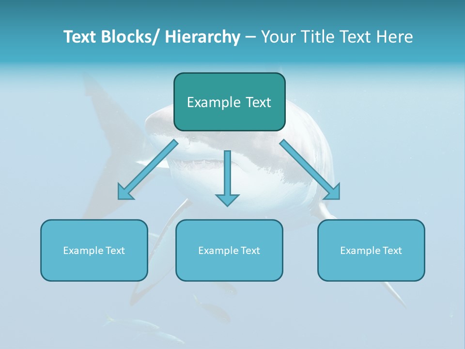 Marine Carcharodon Undersea PowerPoint Template