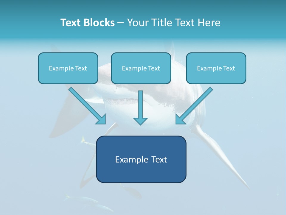 Marine Carcharodon Undersea PowerPoint Template