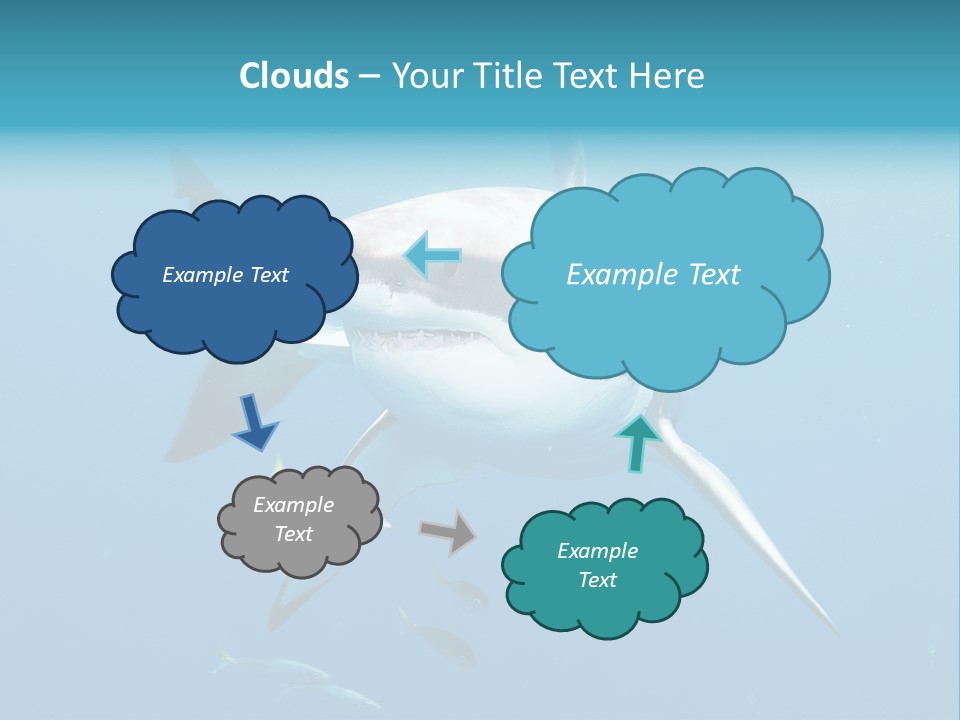 Marine Carcharodon Undersea PowerPoint Template