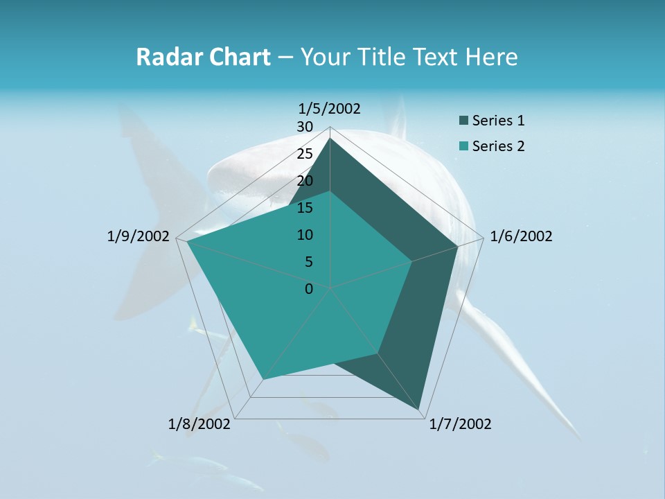 Marine Carcharodon Undersea PowerPoint Template