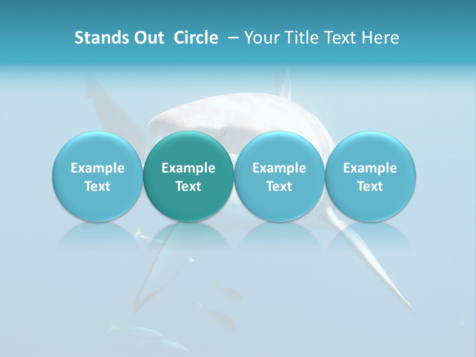 Marine Carcharodon Undersea PowerPoint Template