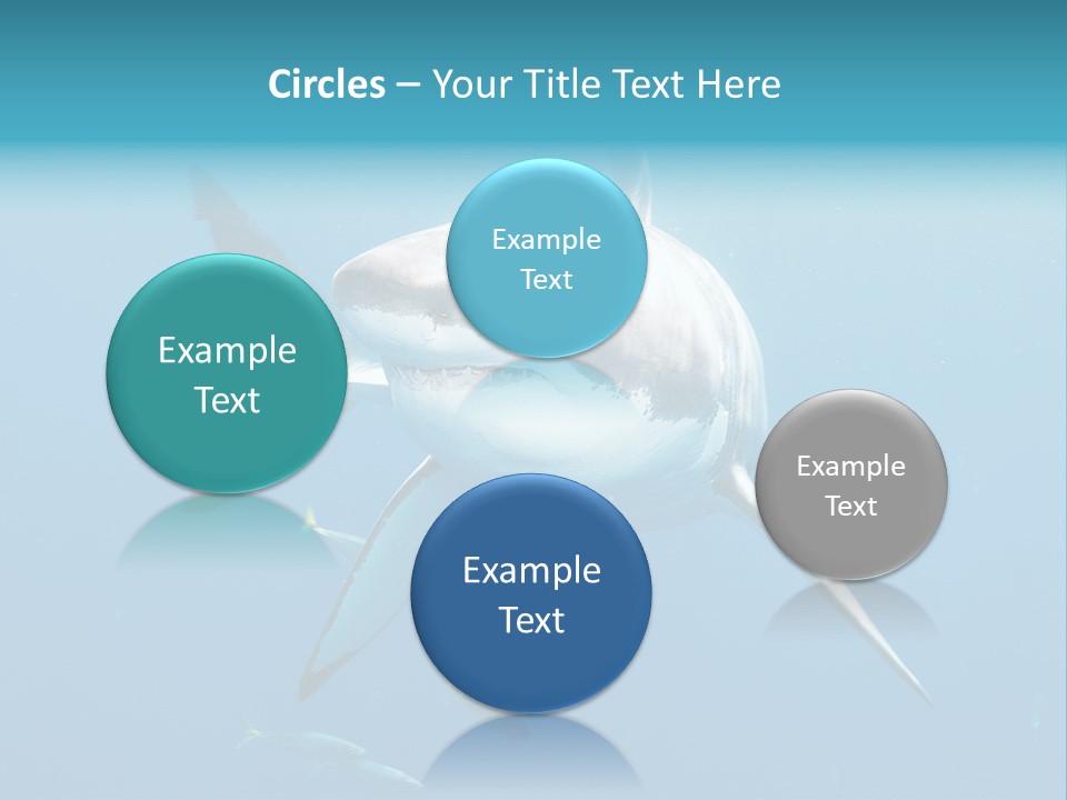 Marine Carcharodon Undersea PowerPoint Template