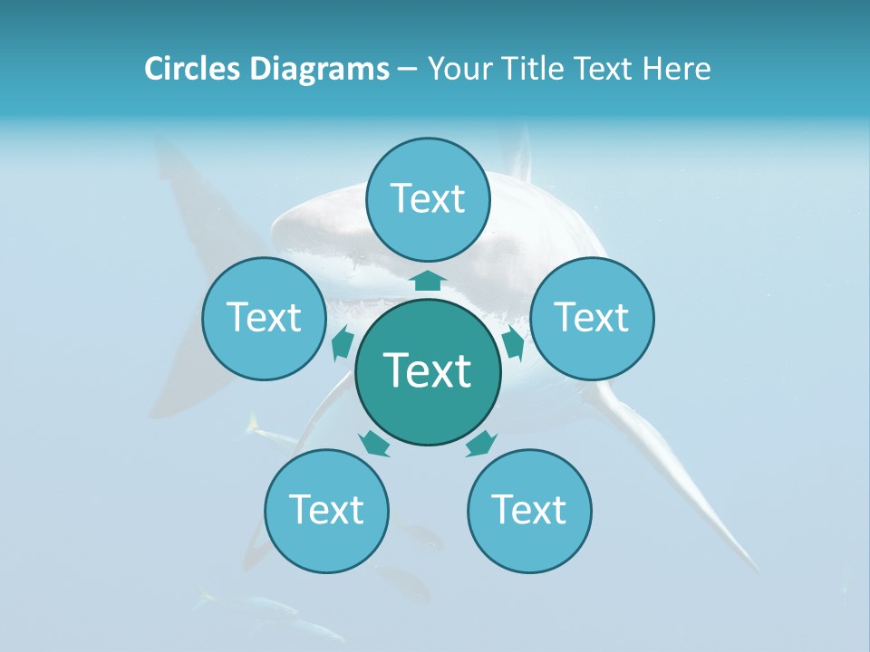 Marine Carcharodon Undersea PowerPoint Template