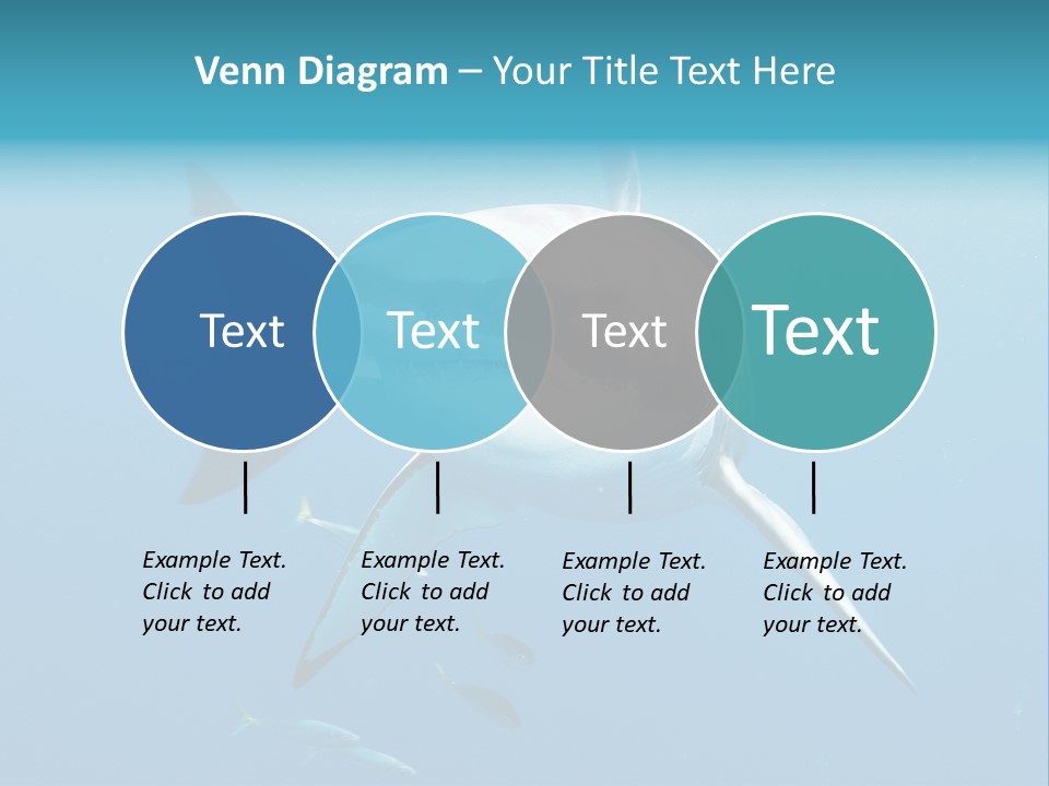 Marine Carcharodon Undersea PowerPoint Template