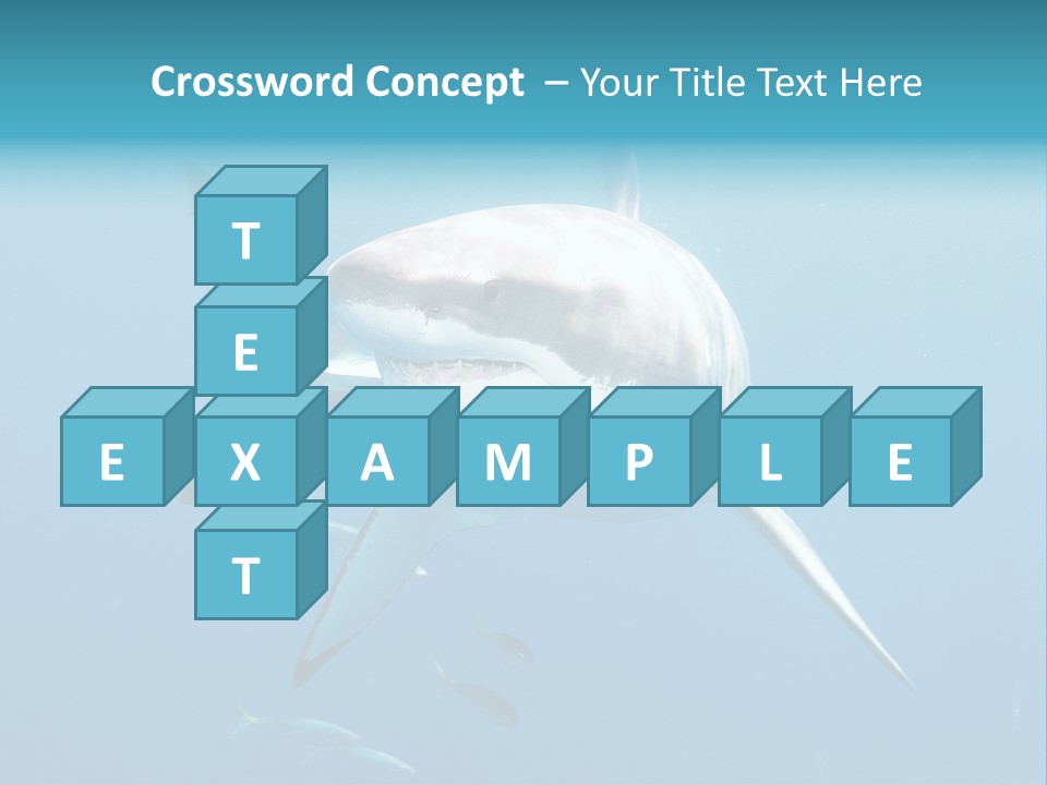 Marine Carcharodon Undersea PowerPoint Template