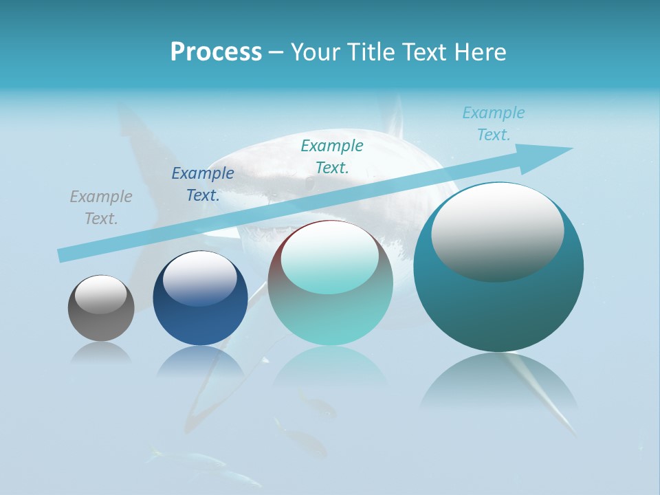 Marine Carcharodon Undersea PowerPoint Template