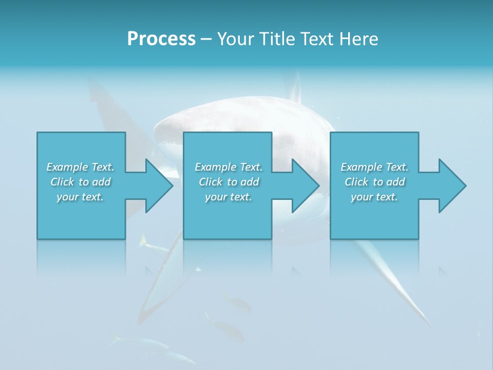 Marine Carcharodon Undersea PowerPoint Template