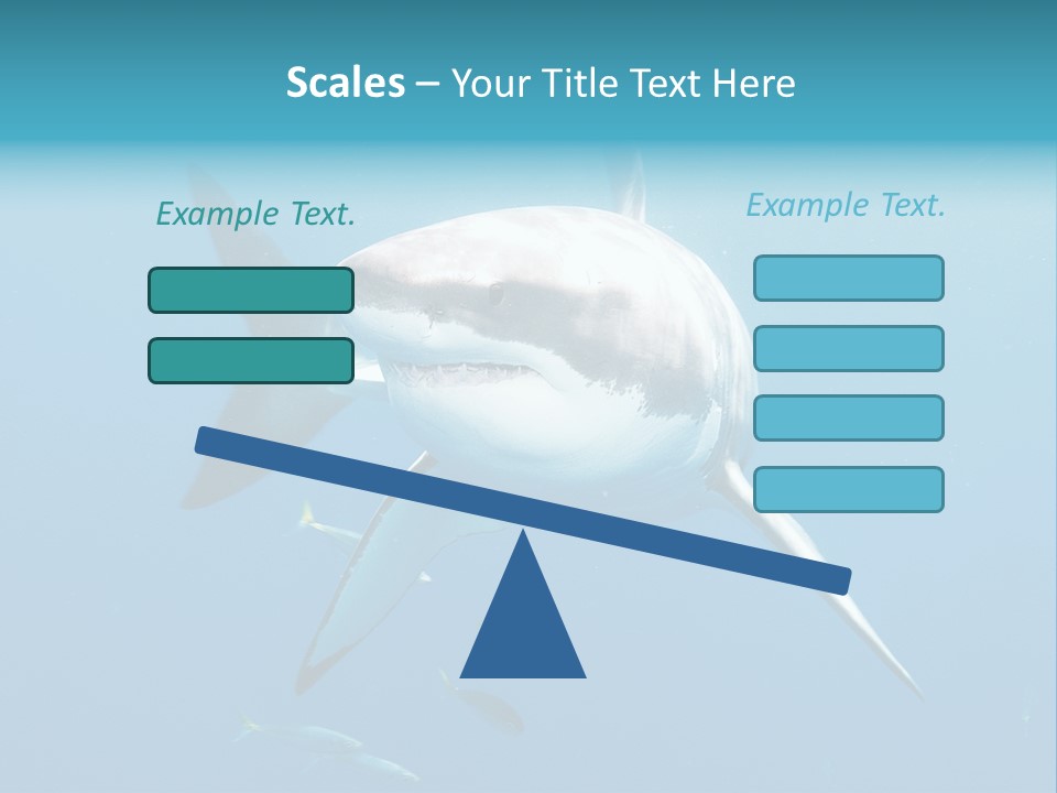 Marine Carcharodon Undersea PowerPoint Template
