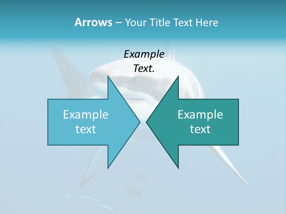 Marine Carcharodon Undersea PowerPoint Template