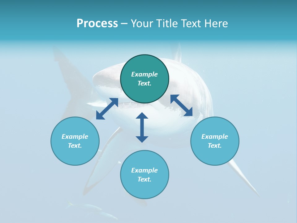 Marine Carcharodon Undersea PowerPoint Template