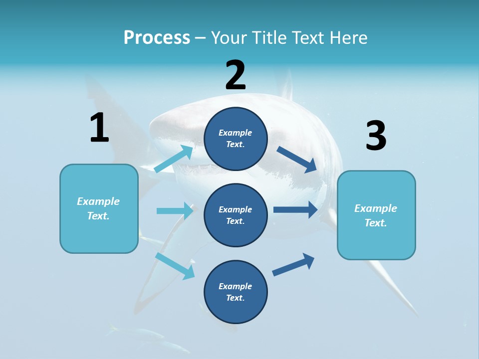 Marine Carcharodon Undersea PowerPoint Template