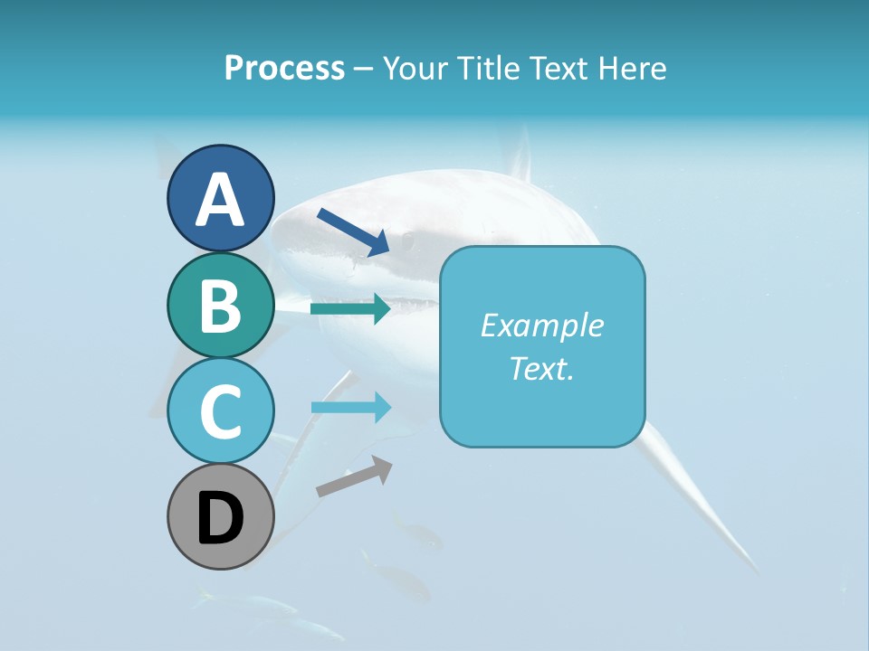 Marine Carcharodon Undersea PowerPoint Template