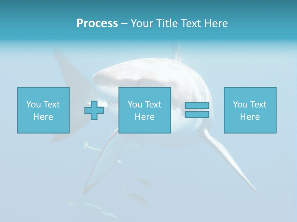 Marine Carcharodon Undersea PowerPoint Template