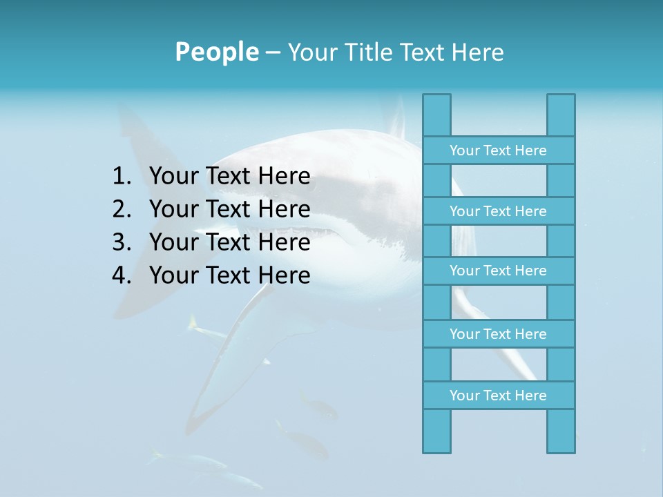 Marine Carcharodon Undersea PowerPoint Template