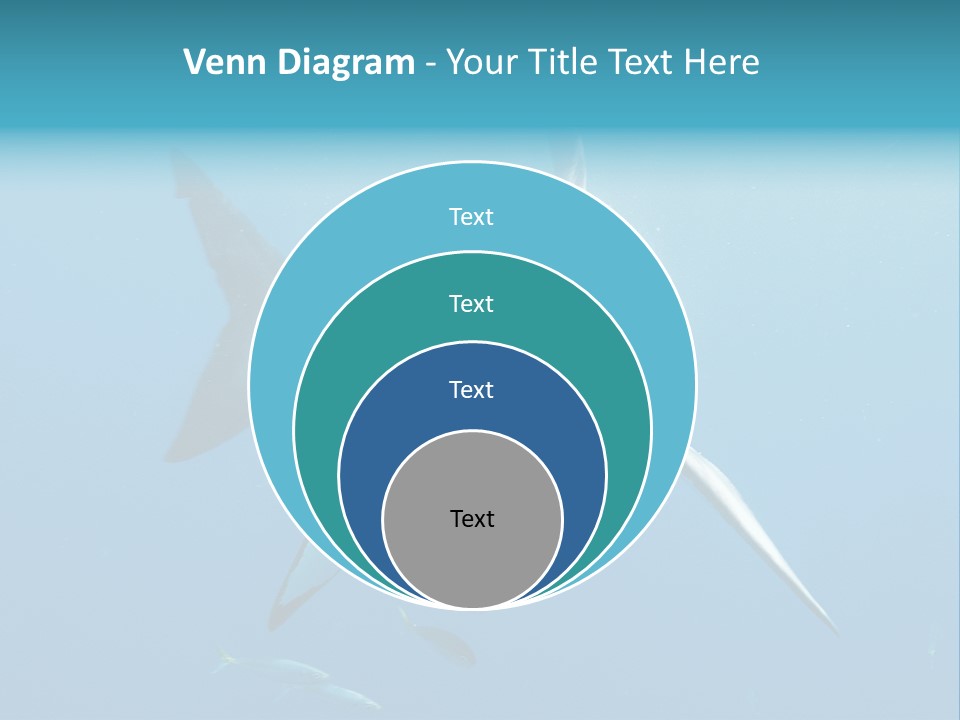 Marine Carcharodon Undersea PowerPoint Template